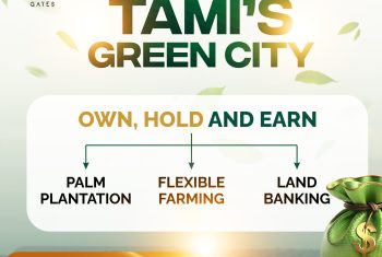 TAMIS GREEN CITY BOARD 2 TAMIS GREEN CITY BOARD 2